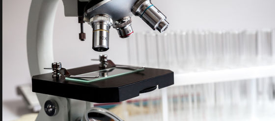 Guter Preis Chemikalienbeständige Rohglasplatte für Histologie/Zytologie-Slide 1300*1100mm Regelmäßige Größe 4PB 9-12um Online